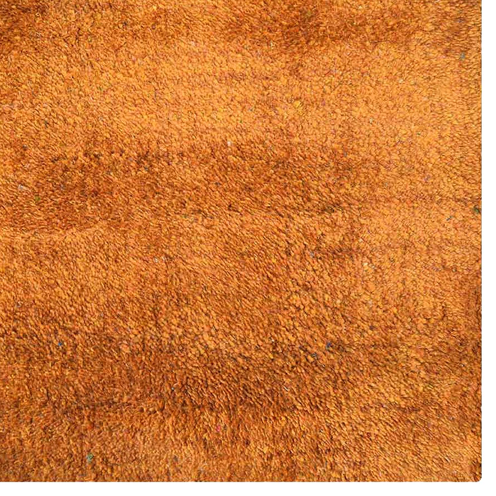 Mysuru Hand Knotted Silk & Wool Area Rug