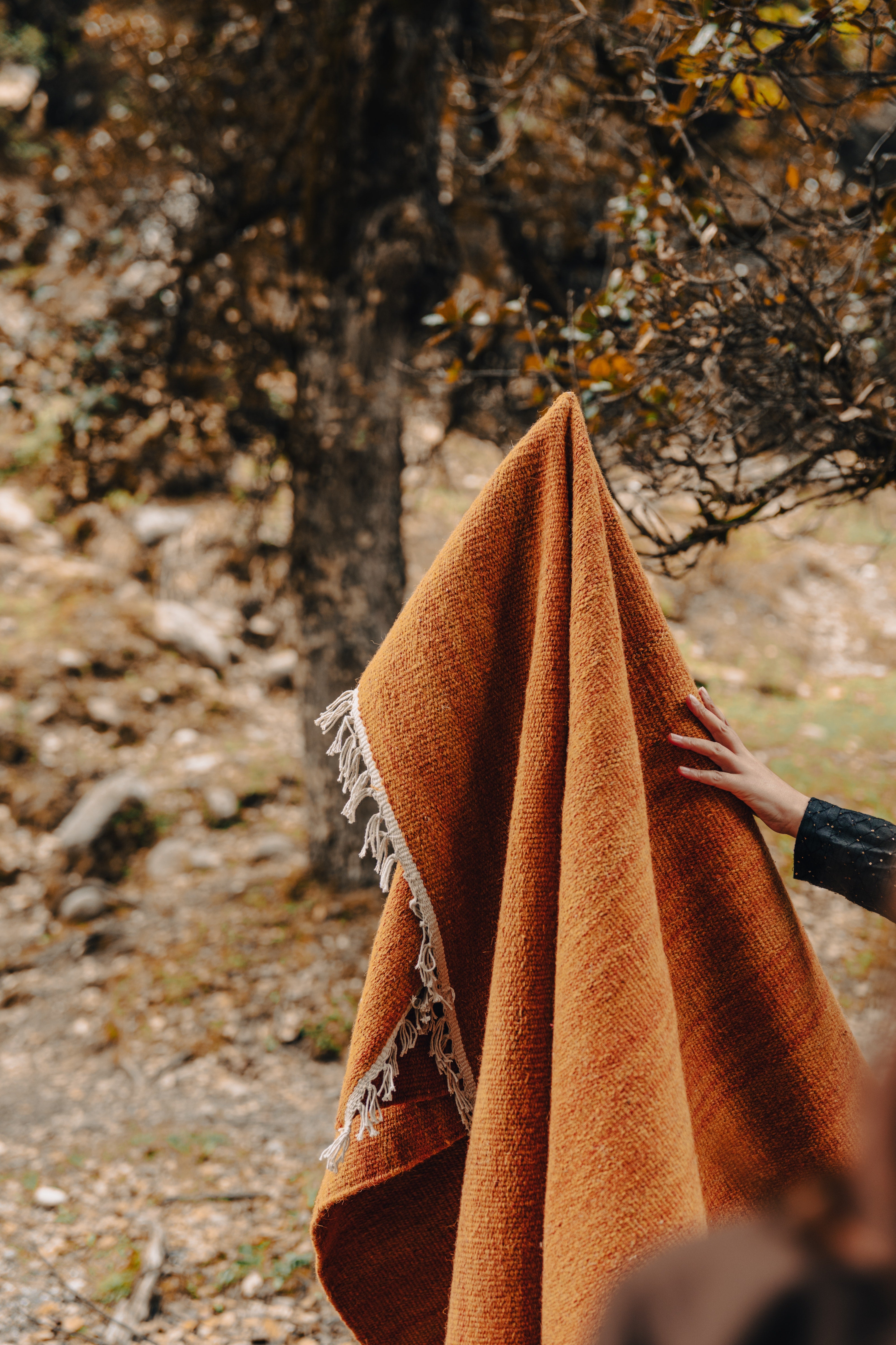 Vast Flat Weave Kilim Rug