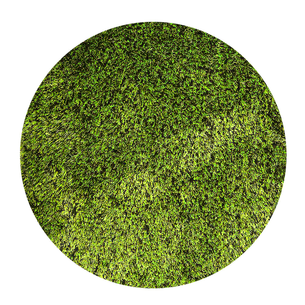 Solid Green Shag Polyester Area Rug