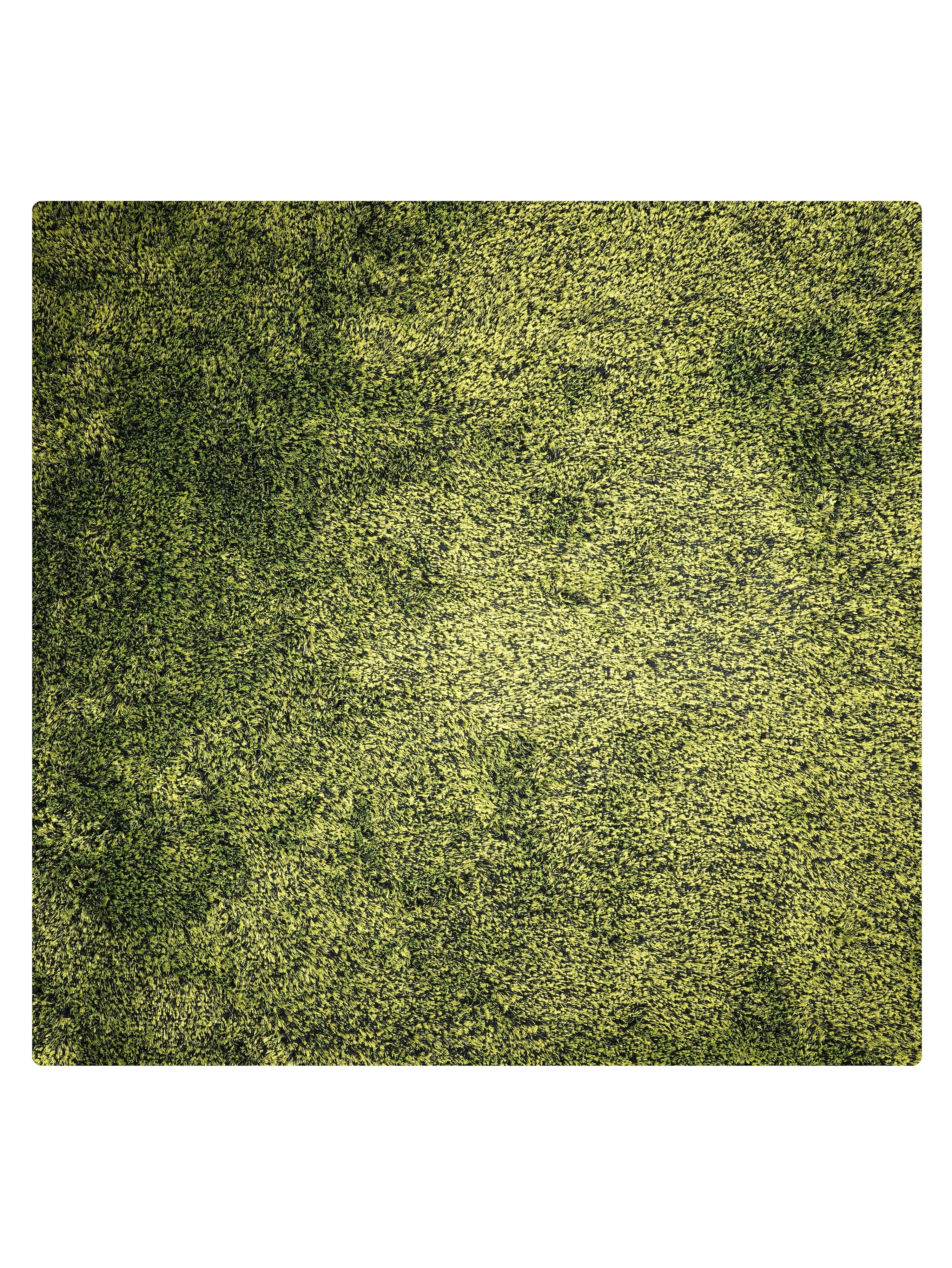 Solid Green Shag Polyester Area Rug