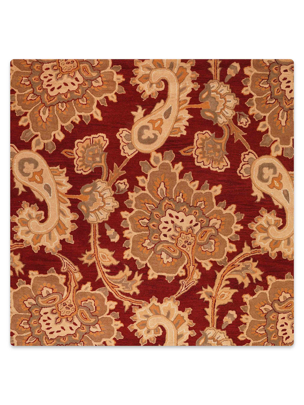 Bagicha Hand Tufted Wool Rug
