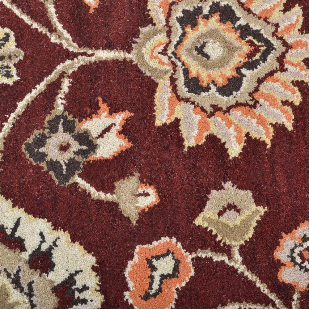 Kashvi Hand Tufted Oriental Rug