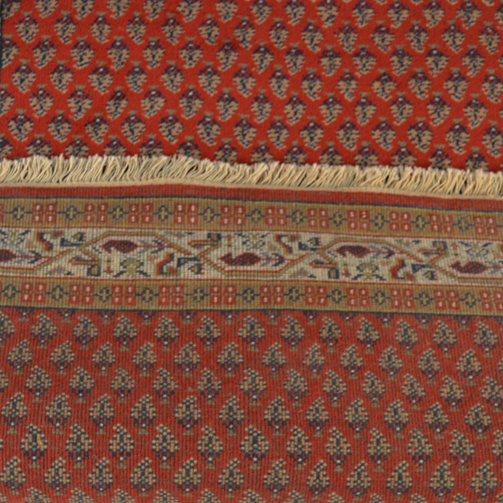 Franschhoek Hand Knotted Persian Wool Area Rug - BBH HOMES LLC