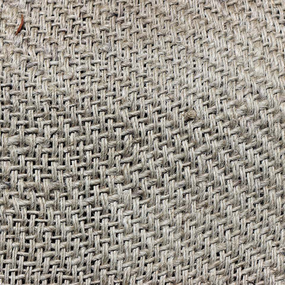Jute